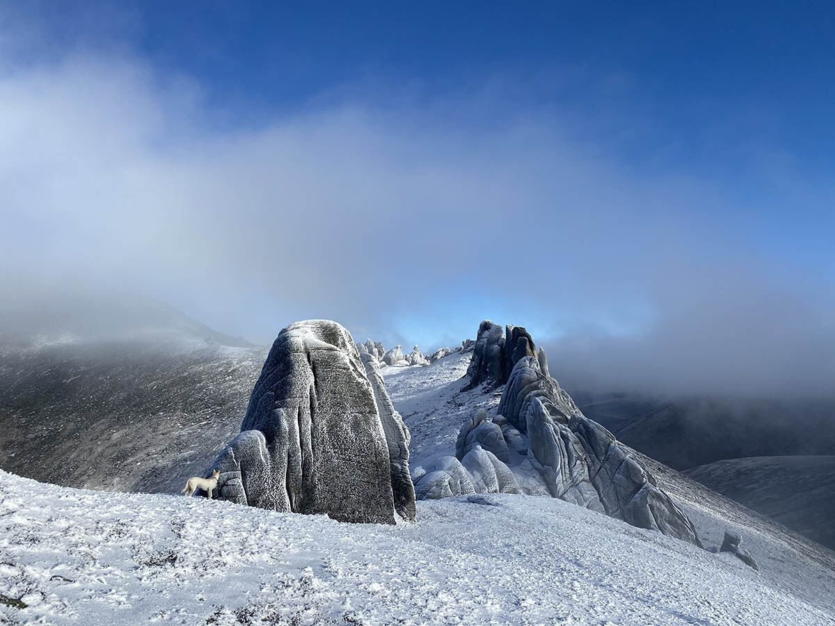 Mount Prindle